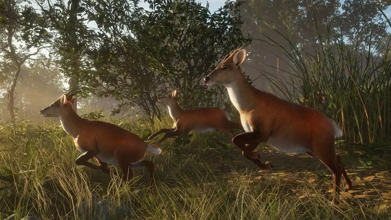 theHunter: Call of the Wild - Sundarpatan Nepal Hunting Reserve PC Steam CD Key screenshot 10