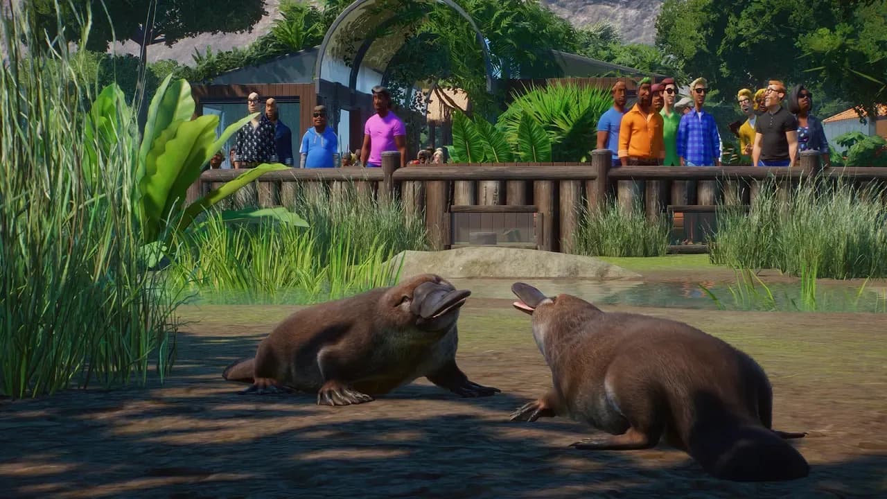 Screenshot 5 di Planet Zoo Deluxe Edition PC Steam CD Key