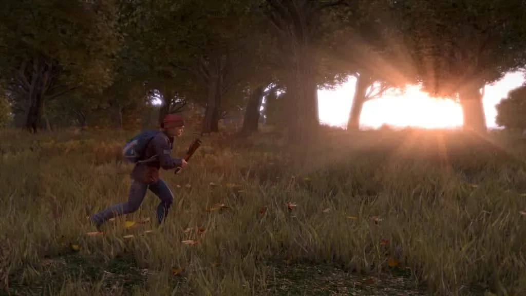 Screenshot 3 di DayZ PC Steam CD Key