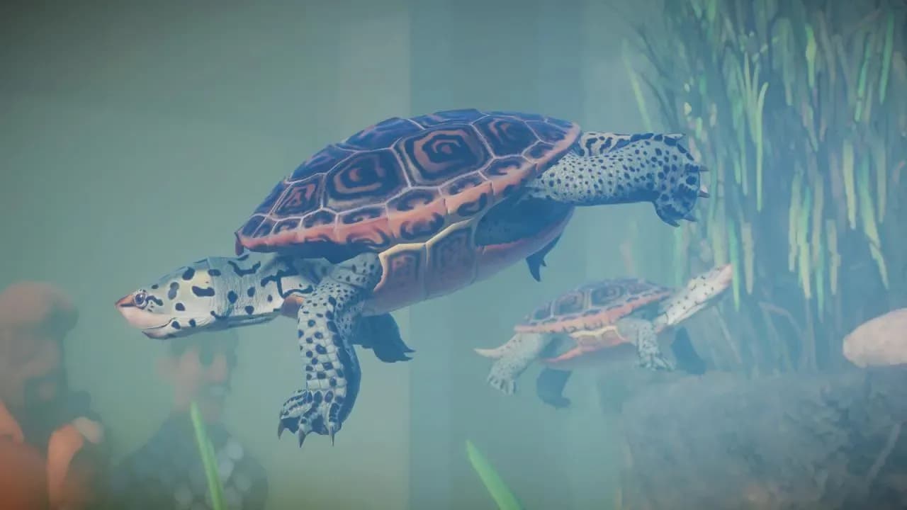 Screenshot 2 di Planet Zoo: Aquatic Pack PC Steam CD Key