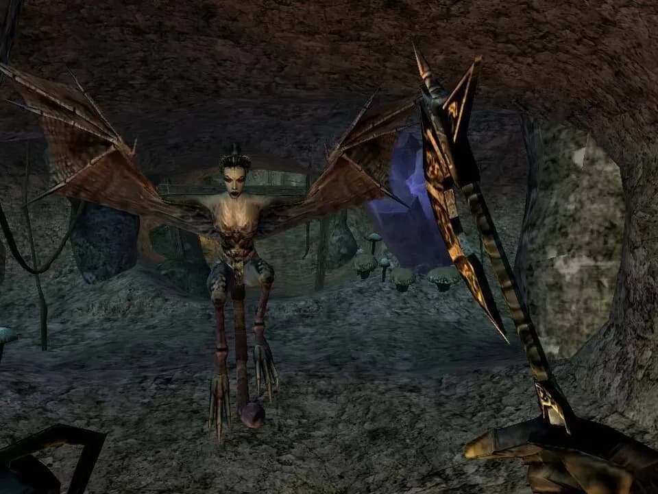 The Elder Scrolls III: Morrowind Game of the Year Edition PC GOG CD Key screenshot 6