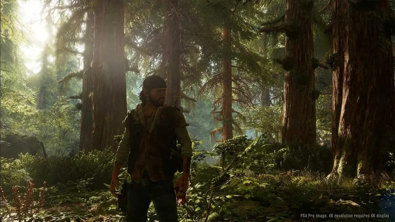 Days Gone PS4/PS5 Account screenshot 6