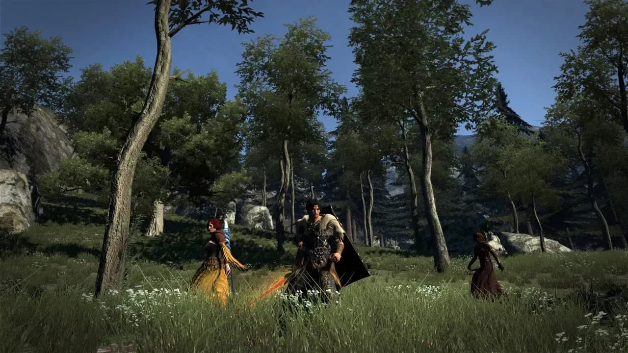 Dragon's Dogma: Dark Arisen PC Steam CD Key (EU) screenshot 1