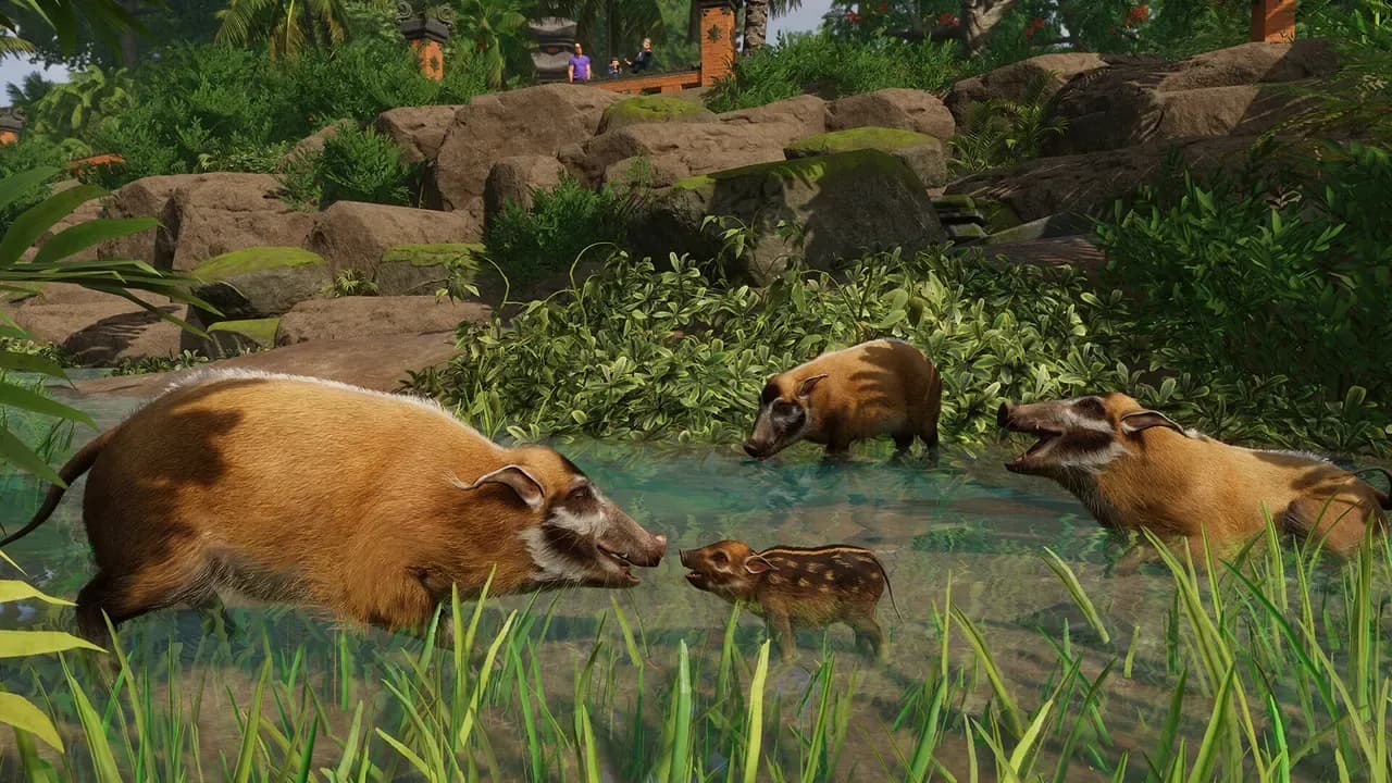 Screenshot 2 di Planet Zoo: Tropical Pack PC Steam CD Key