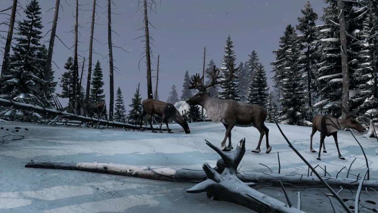 Screenshot 4 di DayZ: Frostline PC Steam CD Key