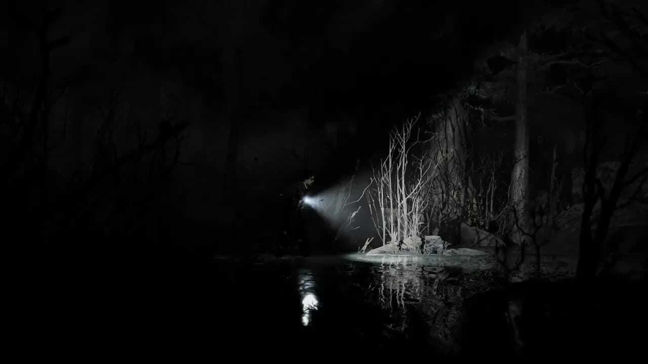 Silver Pines PC Steam CD Key screenshot 4