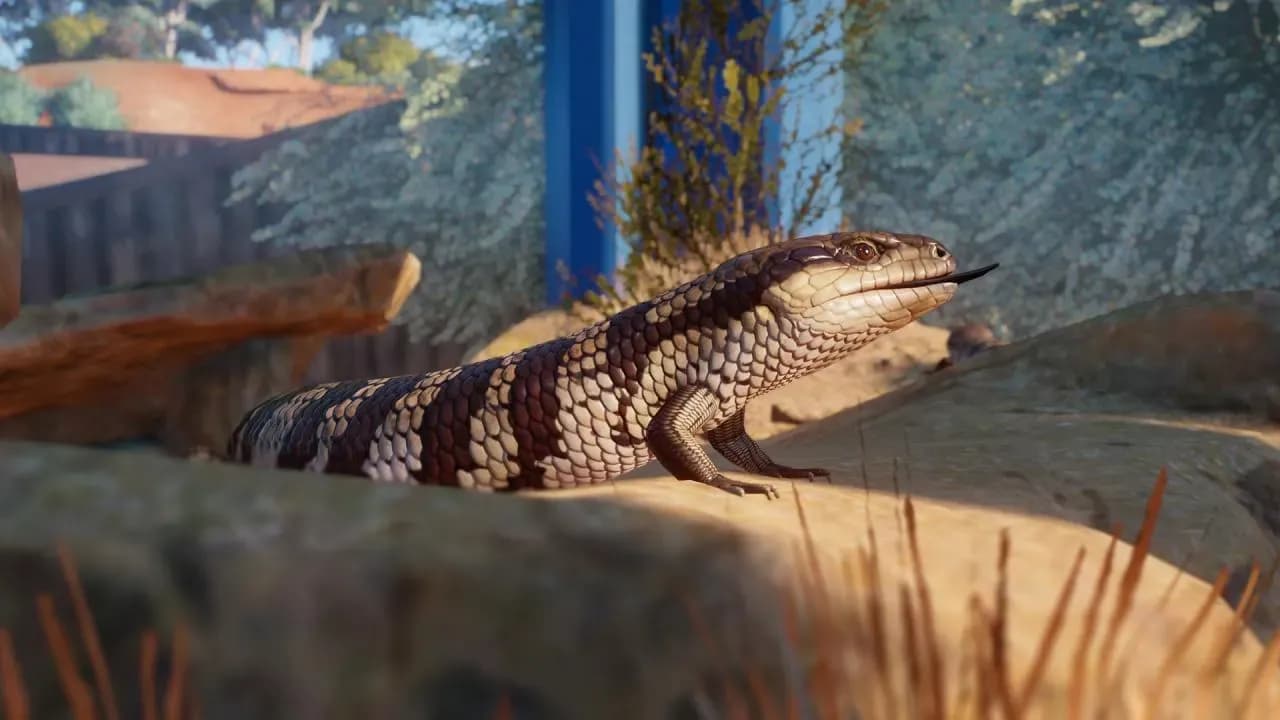 Screenshot 1 di Planet Zoo: Australia Pack PC Steam CD Key
