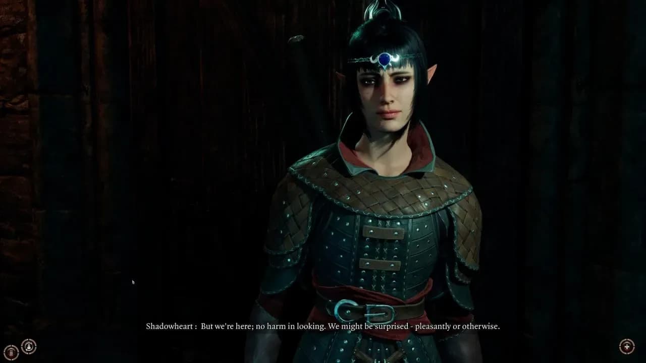 Baldur's Gate 3 PS5 Account screenshot 6