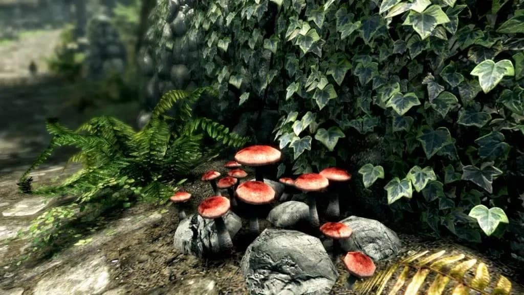 Screenshot 4 di The Elder Scrolls V: Skyrim Special Edition PC Steam CD Key