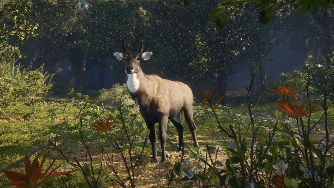 theHunter: Call of the Wild - Sundarpatan Nepal Hunting Reserve PC Steam CD Key screenshot 9