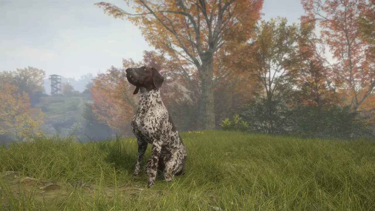 Screenshot 5 di TheHunter: Call of the Wild - German Shorthaired Pointer PC Steam CD Key