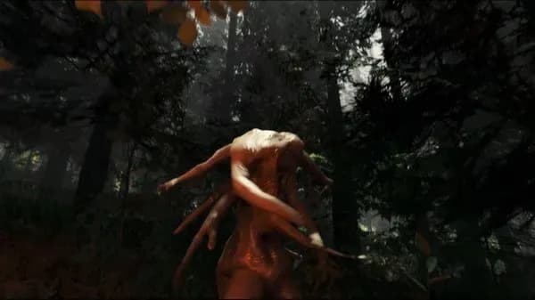 The Forest PS4 Account screenshot 4
