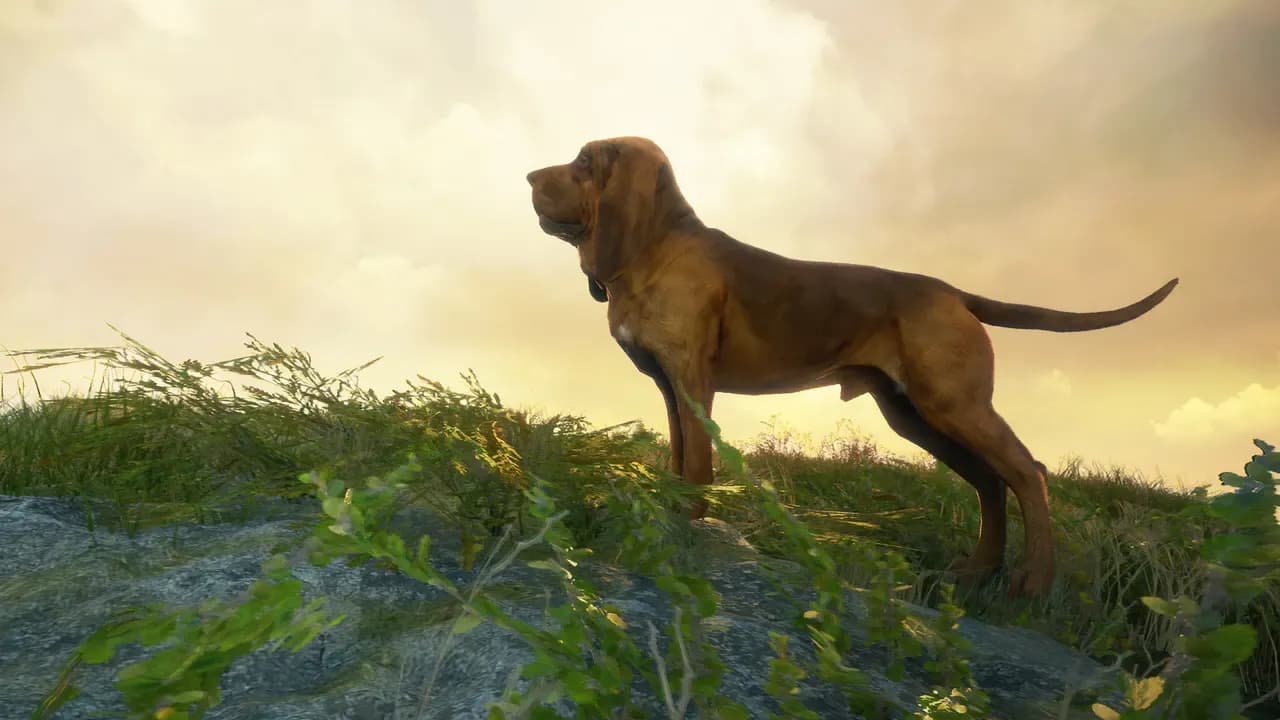 Screenshot 1 di theHunter: Call of the Wild - Bloodhound PC Steam CD Key