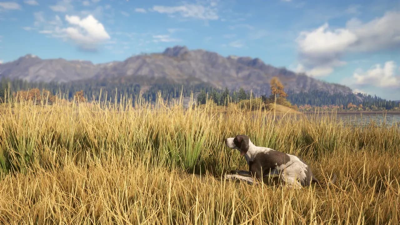 Screenshot 6 di TheHunter: Call of the Wild - German Shorthaired Pointer PC Steam CD Key