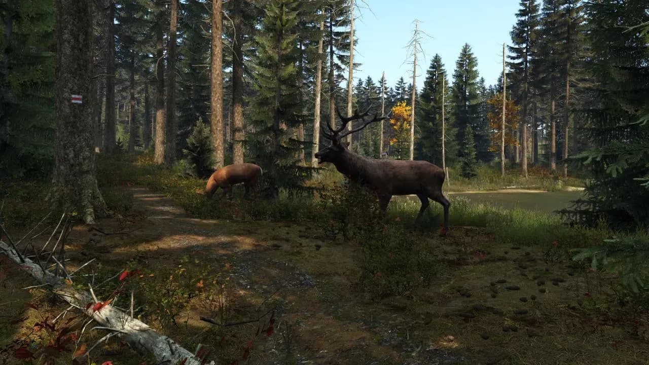DayZ PS4 Account screenshot 7