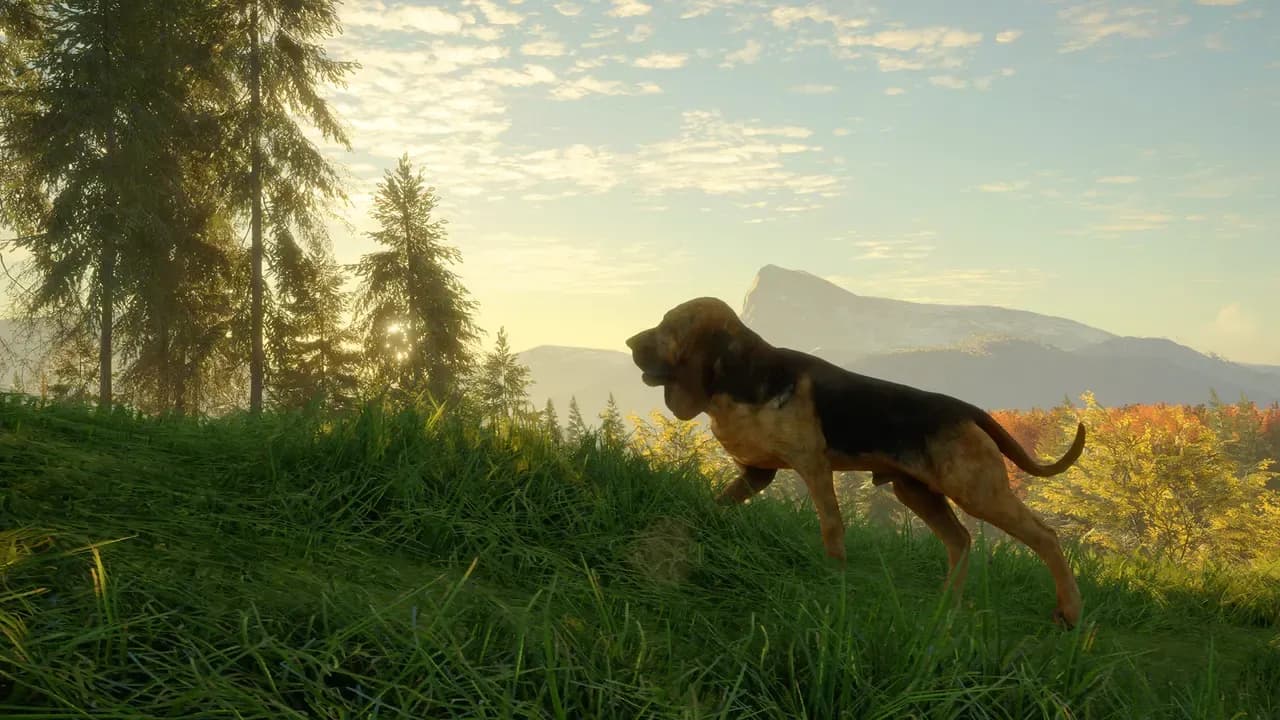 Screenshot 3 di theHunter: Call of the Wild - Bloodhound PC Steam CD Key