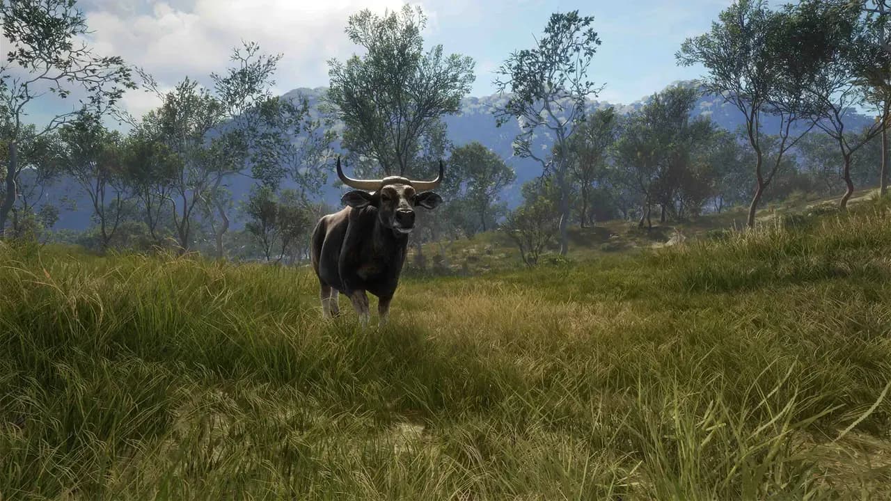 Screenshot 2 di theHunter: Call of the Wild - Emerald Coast Australia PC Steam CD Key