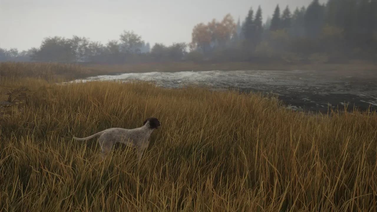 Screenshot 3 di TheHunter: Call of the Wild - German Shorthaired Pointer PC Steam CD Key