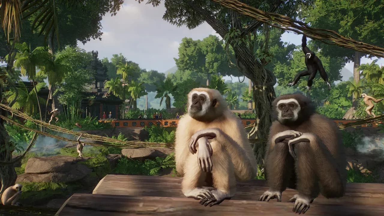 Screenshot 5 di Planet Zoo: Tropical Pack PC Steam CD Key