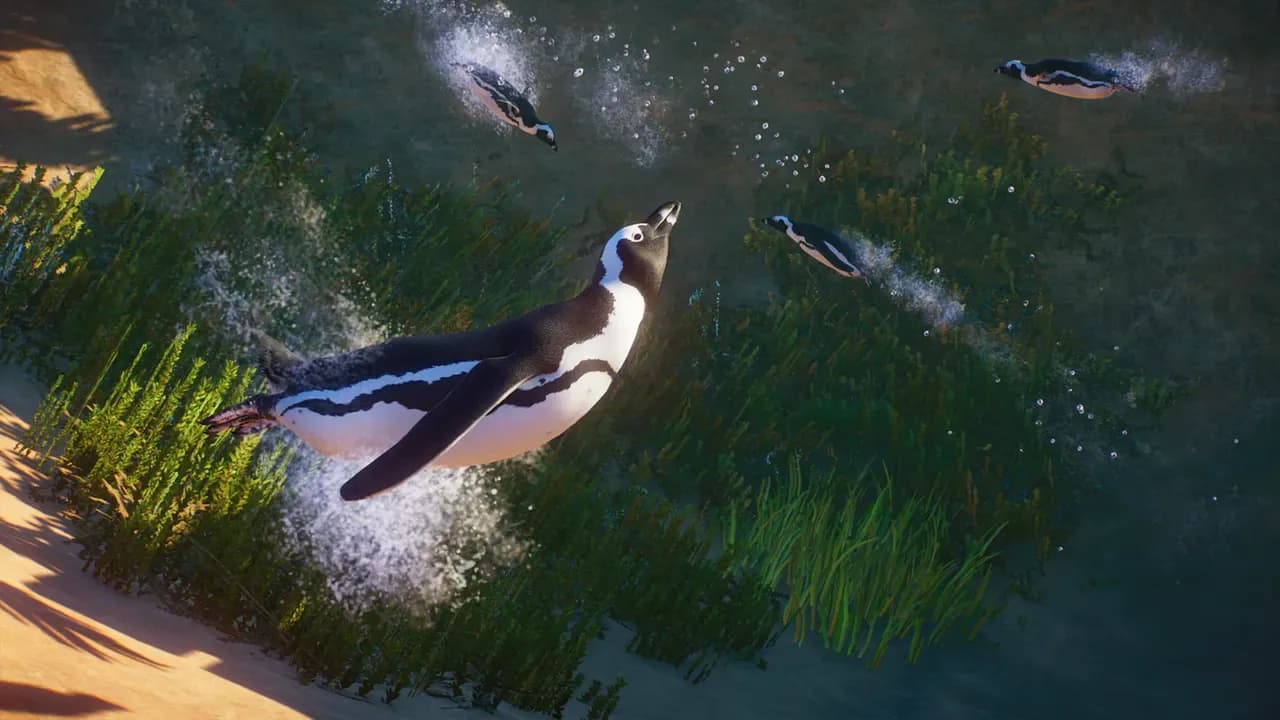 Screenshot 5 di Planet Zoo: Africa Pack PC Steam CD Key