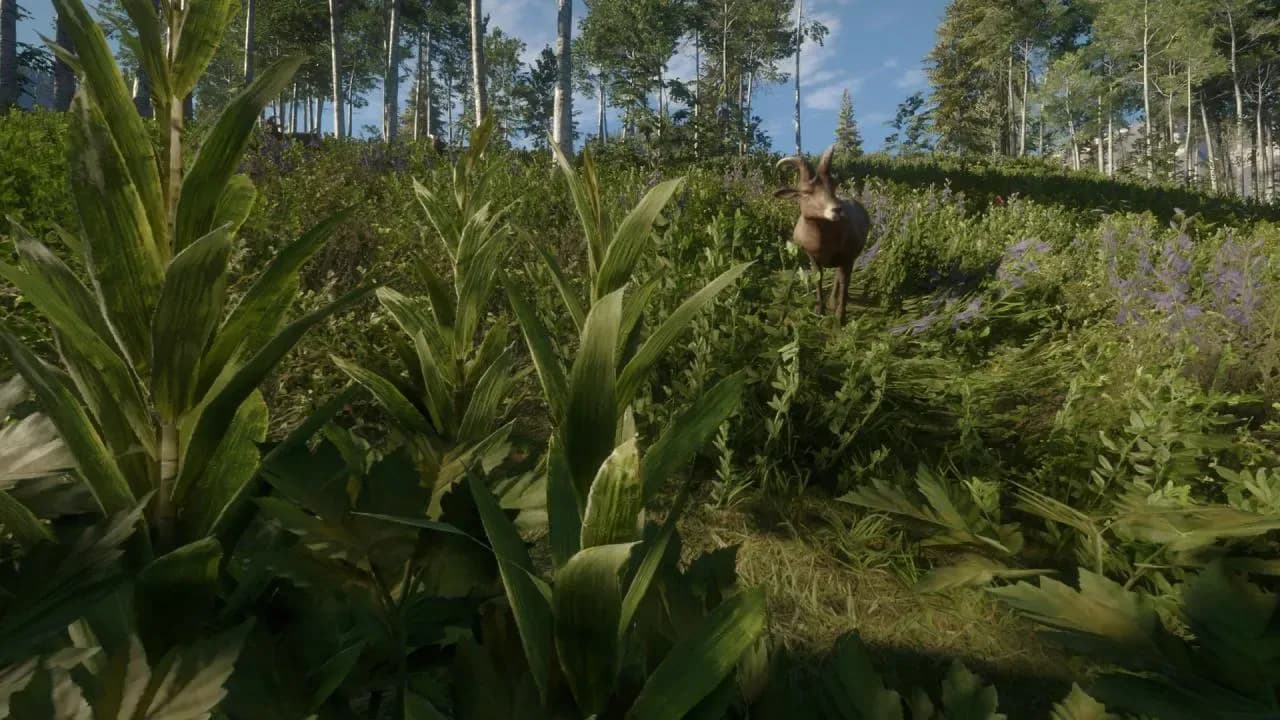 Screenshot 1 di theHunter: Call of the Wild - Silver Ridge Peaks PC Steam CD Key