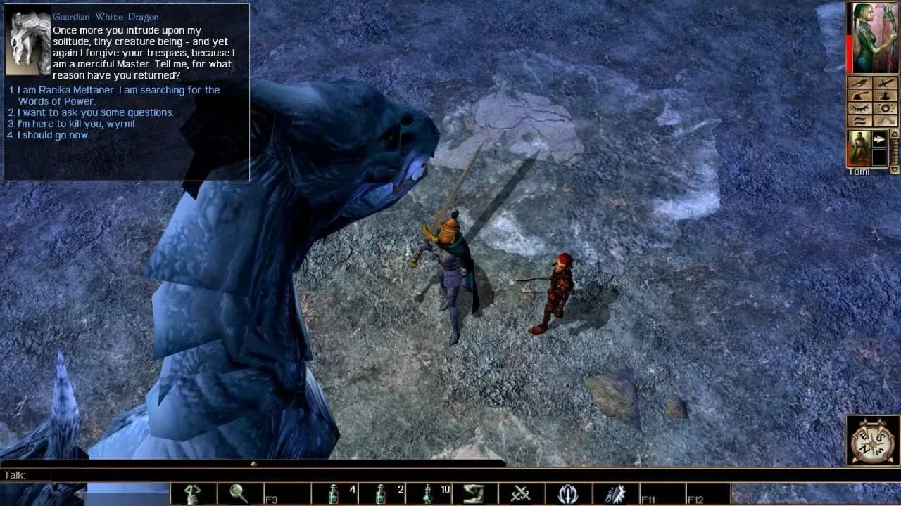 Screenshot 5 di Neverwinter Nights: Enhanced Edition PC Steam CD Key