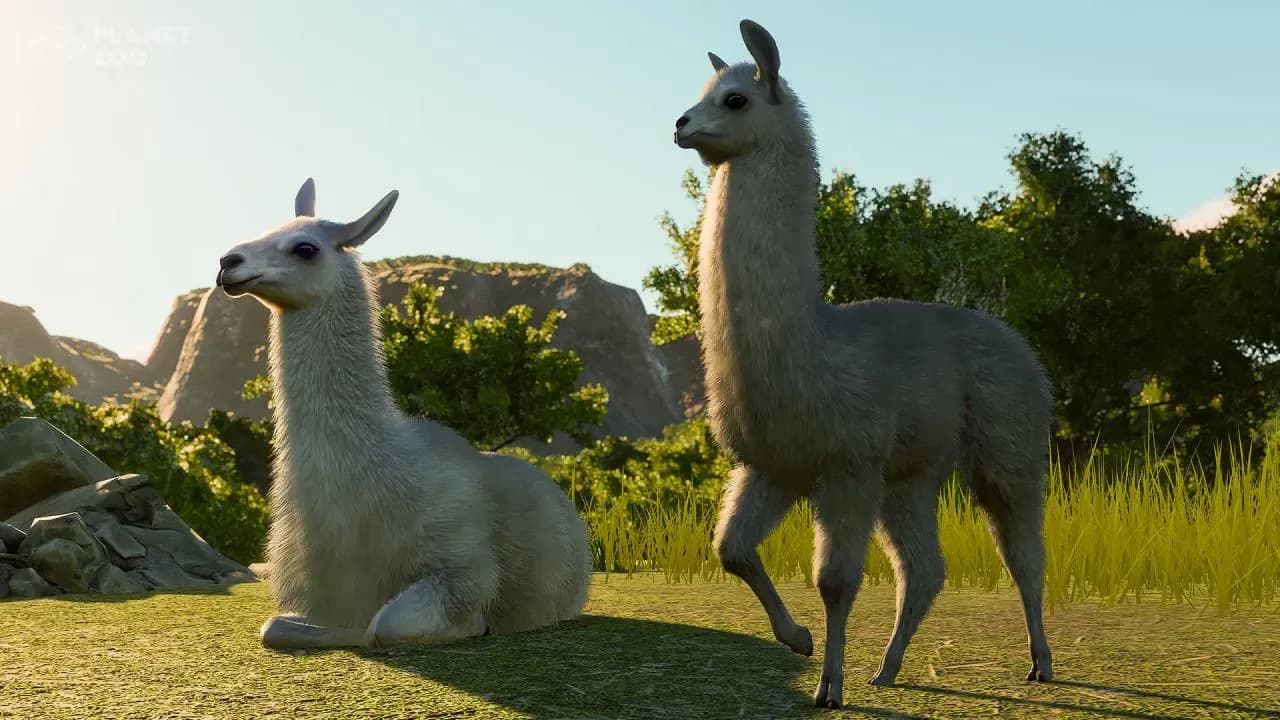 Screenshot 4 di Planet Zoo: South America Pack PC Steam CD Key