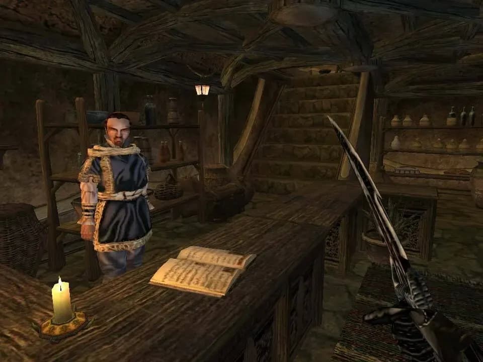 The Elder Scrolls III: Morrowind Game of the Year Edition PC GOG CD Key screenshot 8