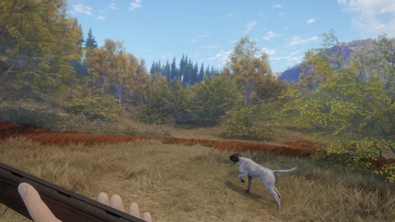 Screenshot 2 di TheHunter: Call of the Wild - German Shorthaired Pointer PC Steam CD Key