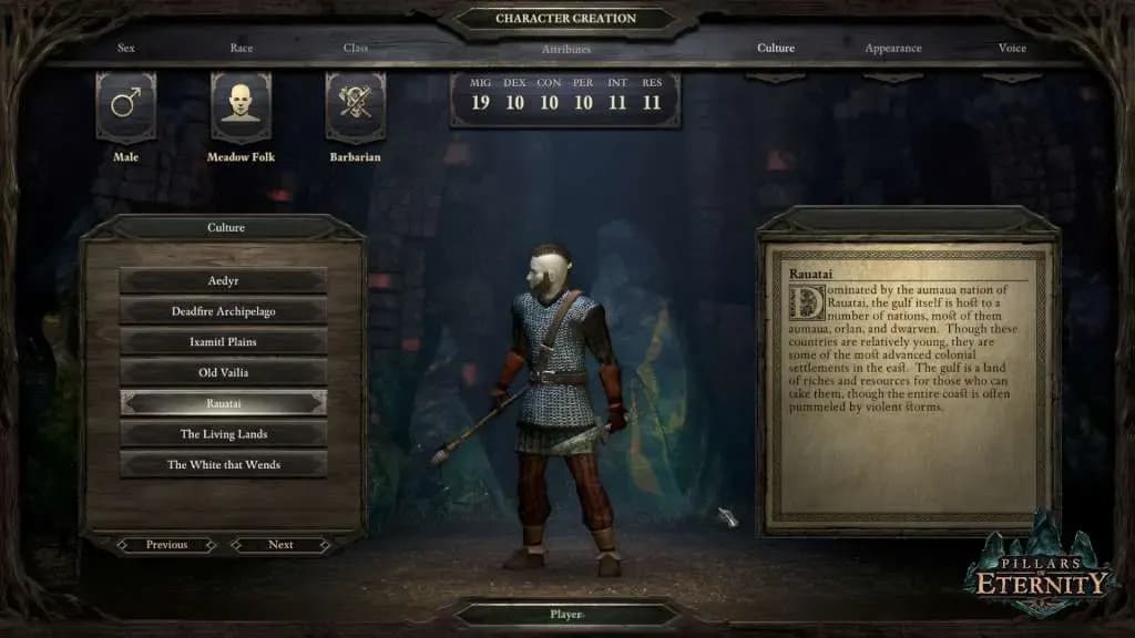 Screenshot 3 di Pillars of Eternity Definitive Edition PC Steam CD Key