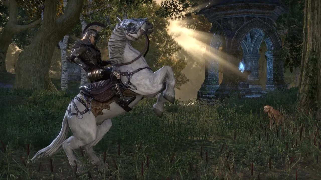 Screenshot 5 di The Elder Scrolls Online Standard Edition PC Steam CD Key