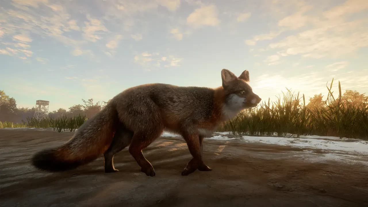 Screenshot 3 di theHunter: Call of the Wild - Mississippi Acres Preserve PC Steam CD Key