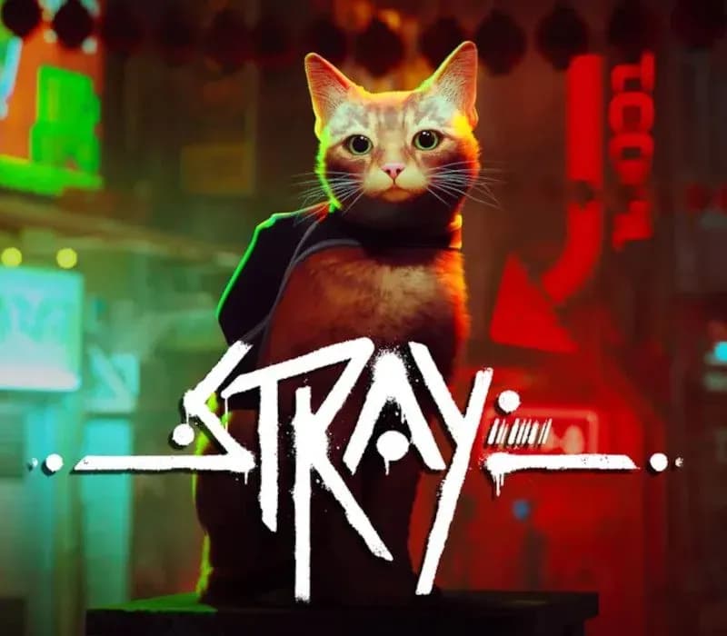 Stray PS5 Account