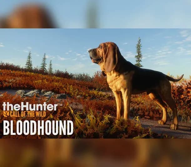 theHunter: Call of the Wild - Bloodhound PC Steam CD Key