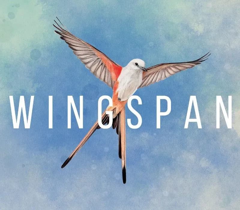 Wingspan PC Steam CD Key