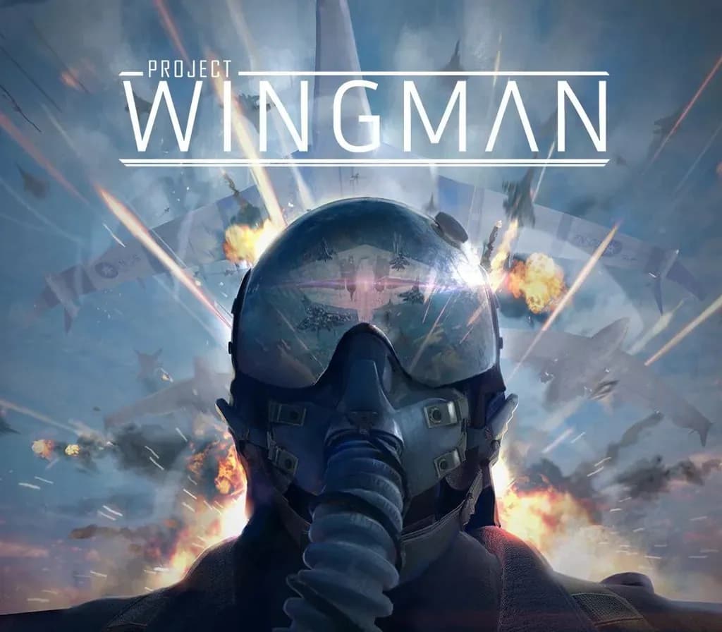 Project Wingman PC Steam CD Key